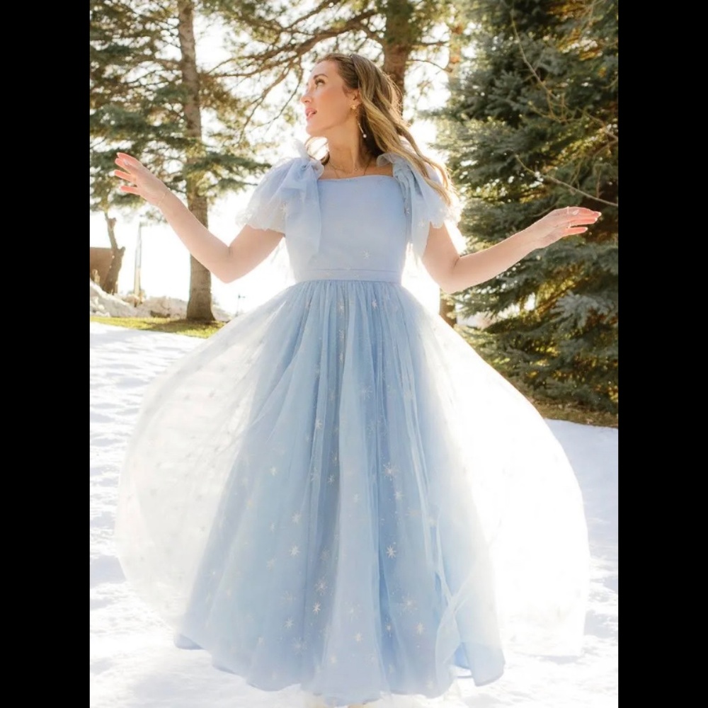 Ivy City Co Jayne Dress XS